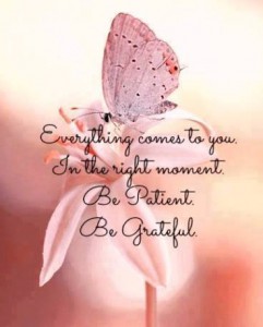 Alt kommer til deg i det rette øyeblikket. Vær tålmodig og takknemlig.